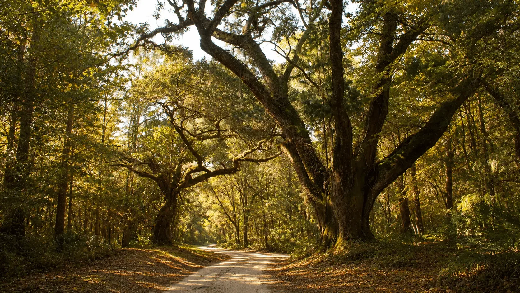 Featured view of Historic Blakeley State Park in Spanish Fort, Alabama