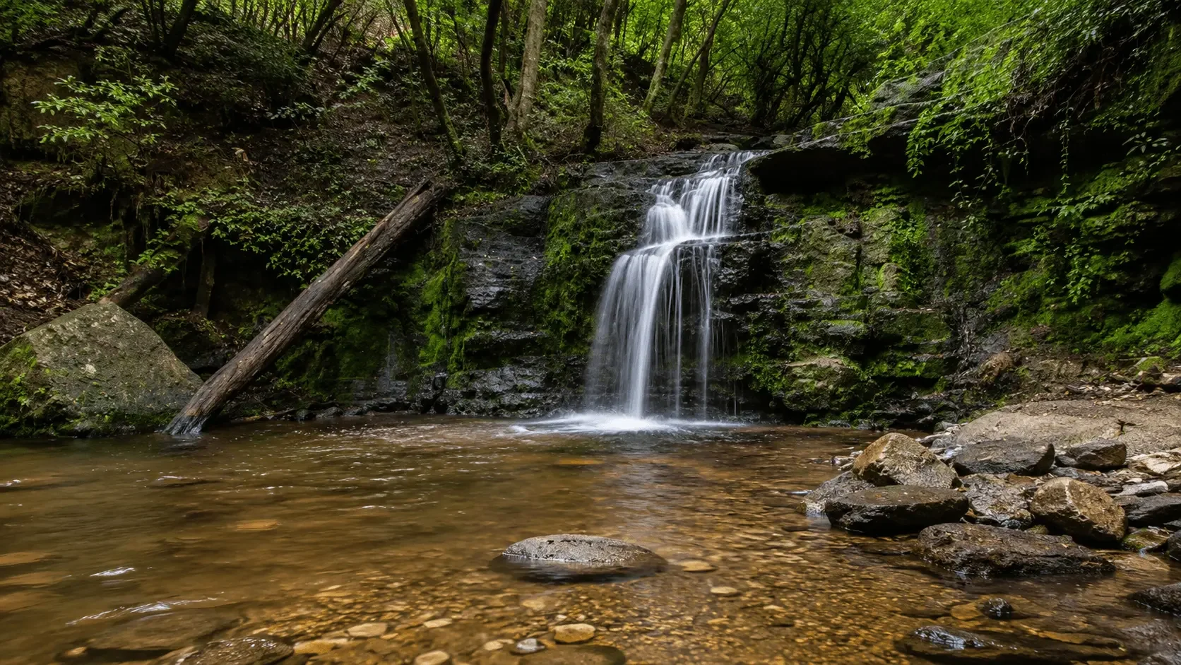 Featured view of F.D. Roosevelt State Park in Pine Mountain, Georgia